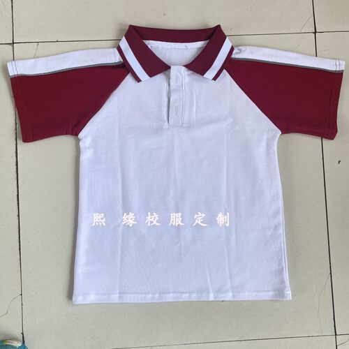 西安市未央区玄武路小学夏校服T