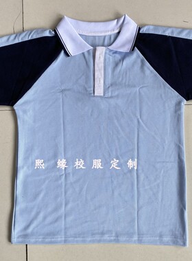 定制罗城学校夏季校服半袖+双白条直筒长裤套装浅蓝色拼接藏蓝T恤