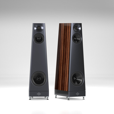 美国YG Acoustics Peaks Summit发烧HiFi音响落地箱家用高保真