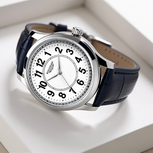 BINLIHUAN宾历幻新款正品国产男士手表男防水石英表时尚潮流简约