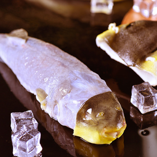 200g 南通海安特产生鲜中洋河豚鱼食用150g 条红烧白汁 实体店