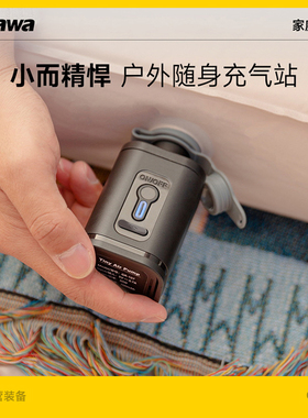 Tawa电动充气泵户外露营帐篷充气床垫充气沙发气泵气垫床抽气泵