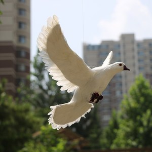 拍照用挂饰仿真鸽模型标本高约19cm假小鸟不会动婚礼道具和平鸽
