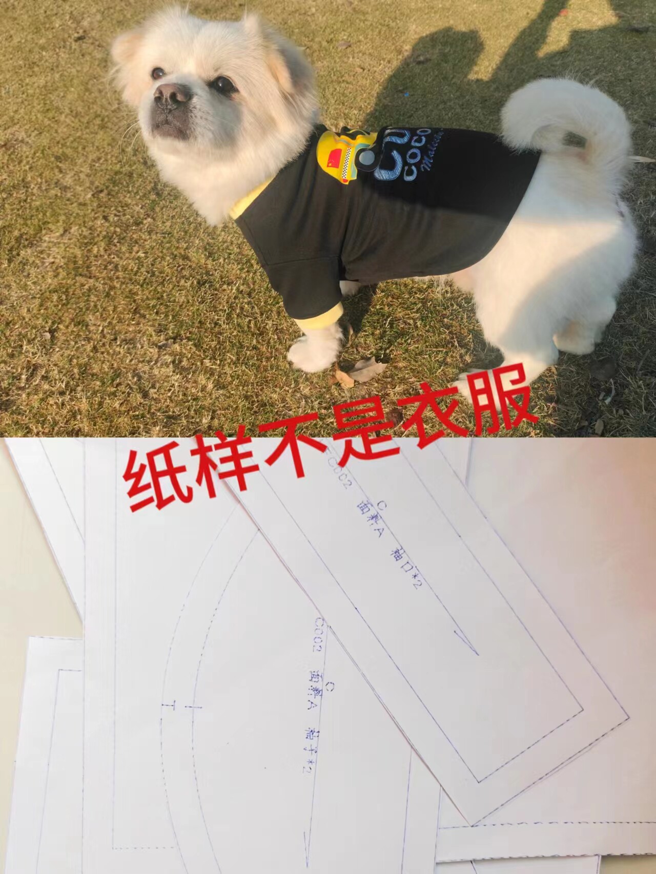 C002有视频教程 宠物服装模板 狗狗两脚衣纸样 京巴串串服饰样板
