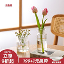 川岛屋玻璃小花瓶透明摆件客厅插花水养迷你桌面矮花器网红ins风