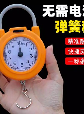 弹簧秤高精度手提称便捷式家用随身带小勾称小型手提多功能电子称