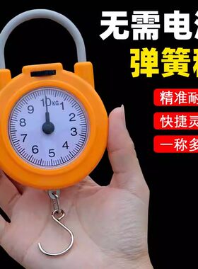 弹簧秤高精度手提称便捷式家用随身带小勾称小型手提多功能电子称