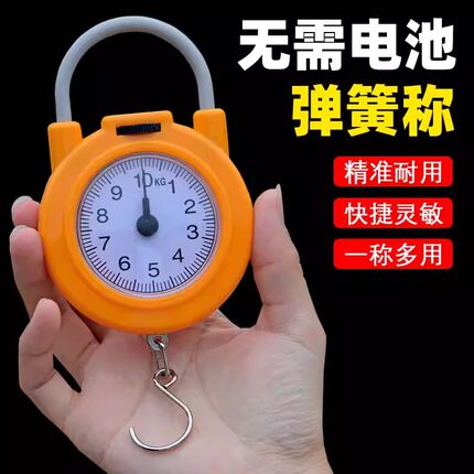 弹簧秤高精度手提称便捷式家用随身带小勾称小型手提多功能电子称