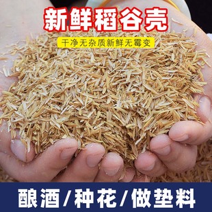 稻壳垫料新鲜谷壳粗糠米糠喂鸡宠物芦丁鸡垫料枕头芯填充酿酒饲料