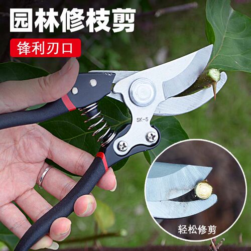 修枝剪园艺剪剪树枝果树剪刀花卉