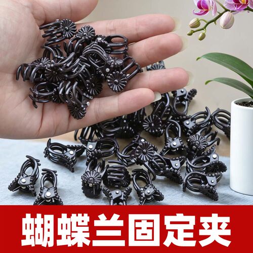 蝴蝶兰专用爬藤造型固定夹