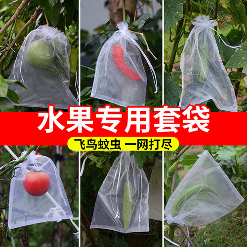 果树无花果葡萄桃子草莓保护袋水果套袋防鸟网纱袋防虫袋果蝇种植