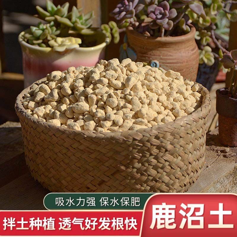 进口鹿沼土颗粒杜鹃月季兰花硬质多肉专用土整包大包装拌土铺面石