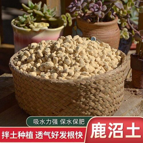 进口鹿沼土颗粒杜鹃月季兰花硬质多肉专用土整包大包装拌土铺面石