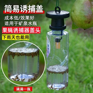 果实蝇引诱剂针蜂诱捕器专用液棉芯棒杀粘瓜锋食蝇果蝇信息素药水