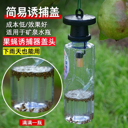 果蝇诱捕器盖头诱虫实蝇引诱剂