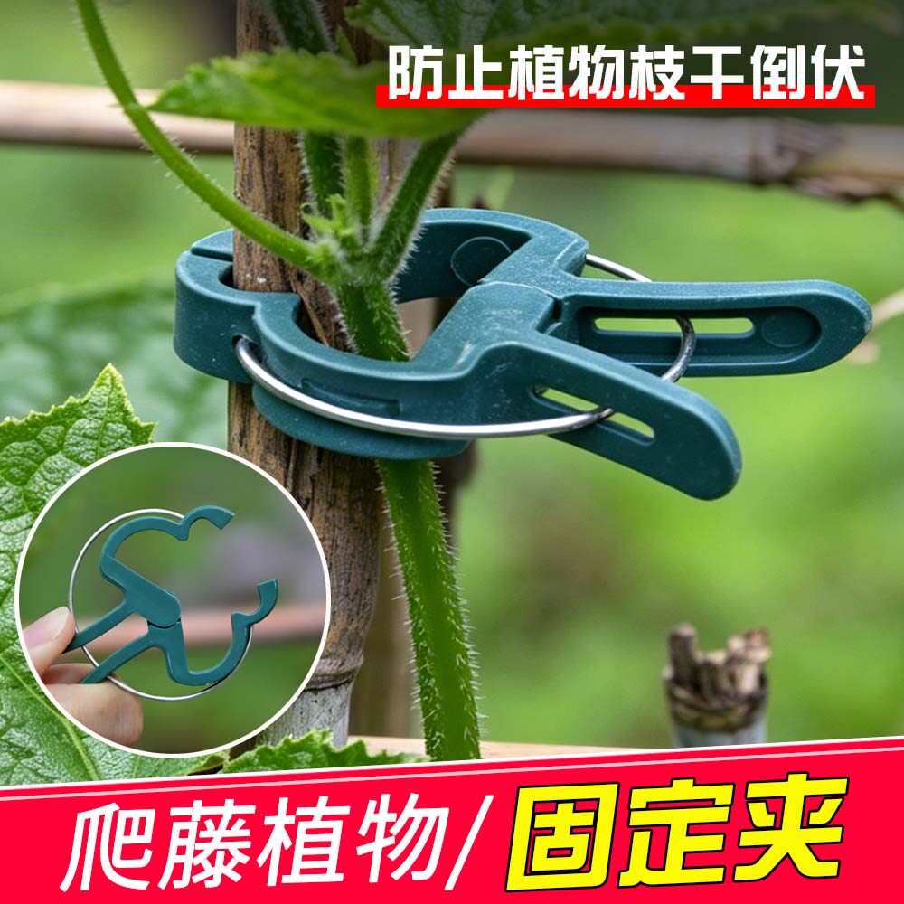大号爬藤植物枝条固定夹