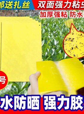 黄板双面粘虫板诱虫蓝板纸贴黄色飞虫小黑飞粘蝇诱捕器粘板飞蛾