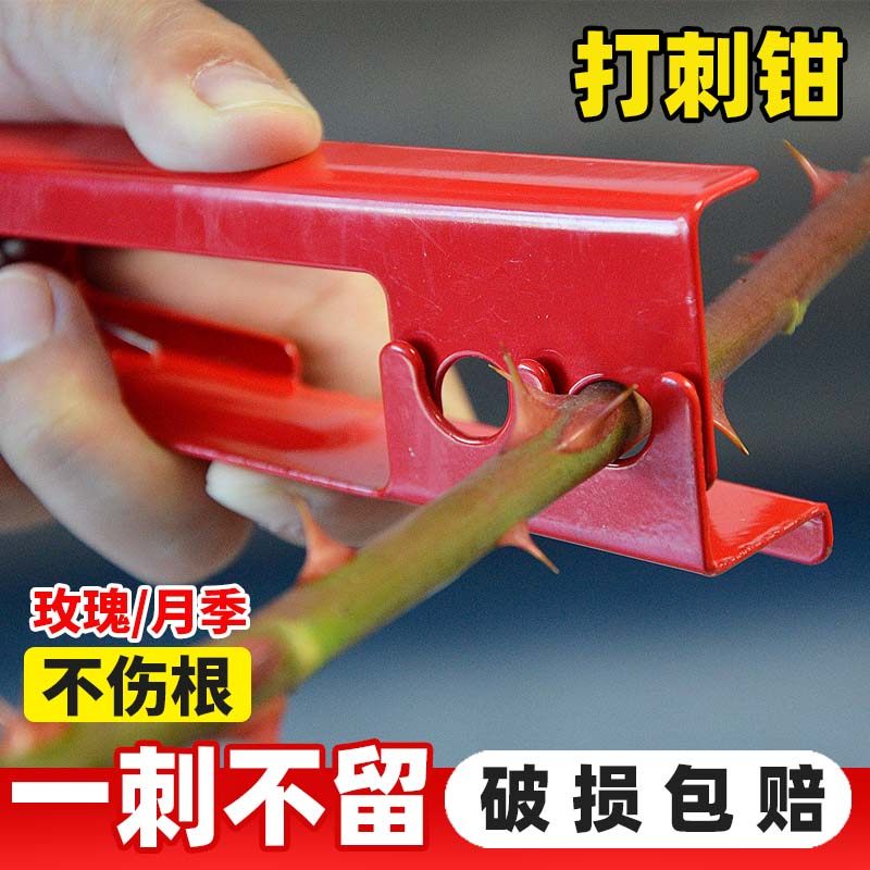 玫瑰花打刺钳去刺器花店玫瑰打刺器去刺夹子去刺宝去刺工具园艺,鲜花速递/花卉仿真/绿植园艺,剪刀,淘宝优惠券,粉丝福利购,淘宝优惠卷