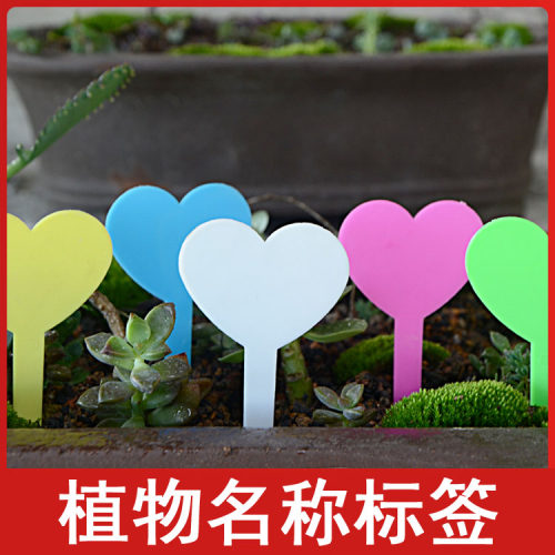 防水加厚园艺植物标签小号花卉插