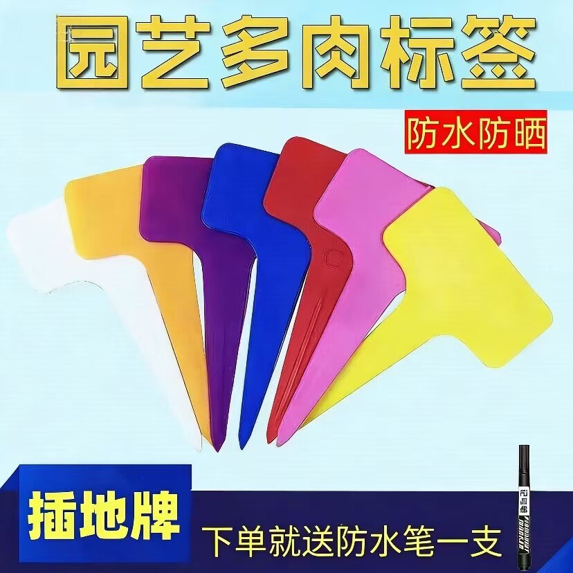 植物标签园艺标签牌标识牌多肉彩色指示牌微景观防水插地牌花卉