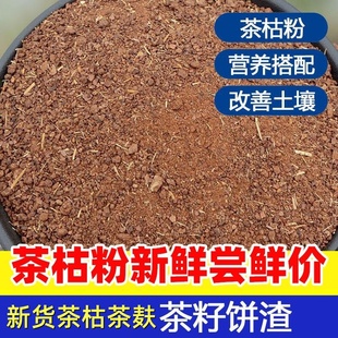 农用茶籽粉茶枯粉茶枯茶籽洗碗肥料茶麸茶粕新鲜压榨茶枯片块饼渣