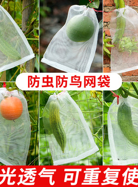 防虫网瓜果浸种葡萄套袋尼龙袋