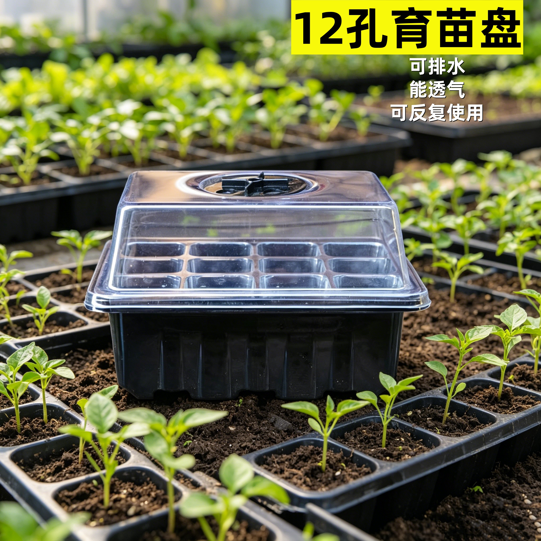 育苗盒三件套6孔12孔塑料箱穴盘播种育苗块保温 湿育苗钵闷养育种