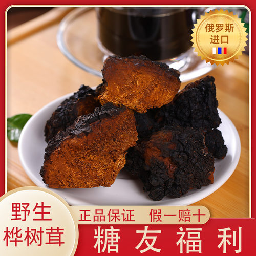 桦树茸俄罗斯进口野生正品白桦茸桦褐孔菌颗粒胰岛素块块带黑金