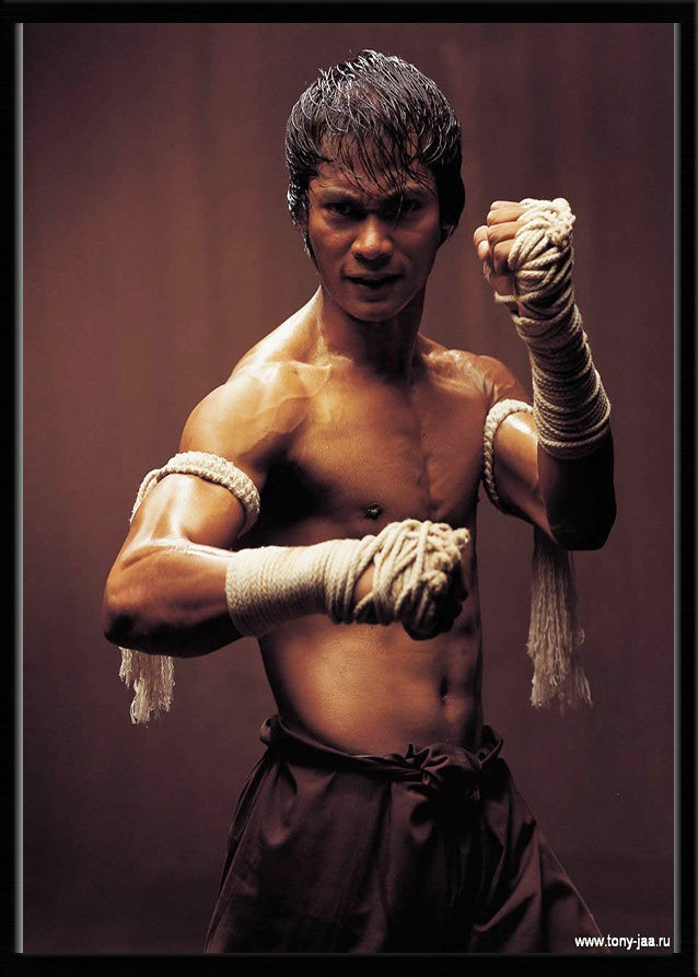 托尼贾海报泰拳泰国搏击格斗拳击武术武打功夫健身肌肉男装饰挂画