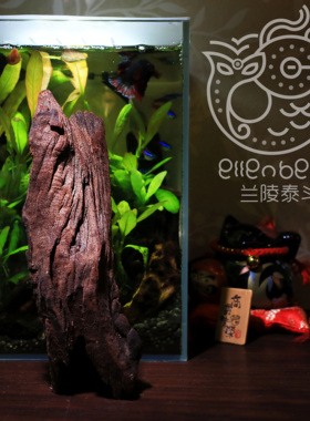 已煮已泡紫柚沉木小型微型鱼缸造景天然装饰斗鱼爬虫雨淋水族箱