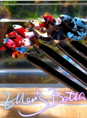 泰国纯手工手绘斗鱼棒逗鱼泰国斗鱼夸示展尾树脂木棒相对易碎勿摔