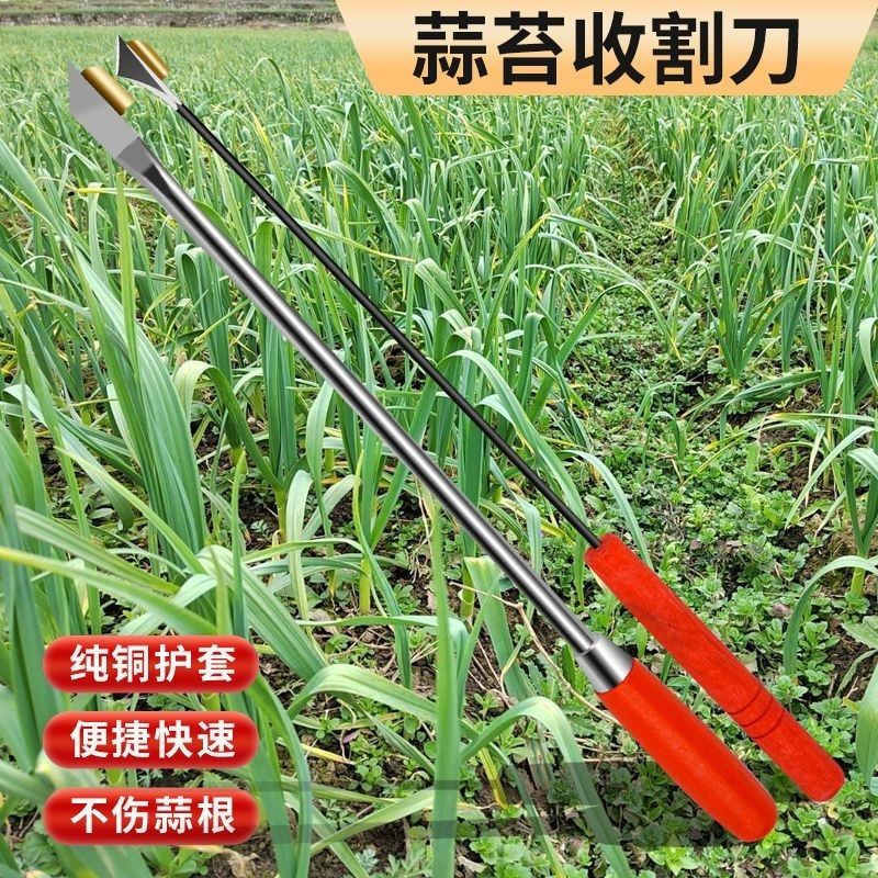 抽蒜苔剥蒜苔神器打蒜台的工具划蒜苔快速拔剔蒜薹提摘蒜苔收割刀