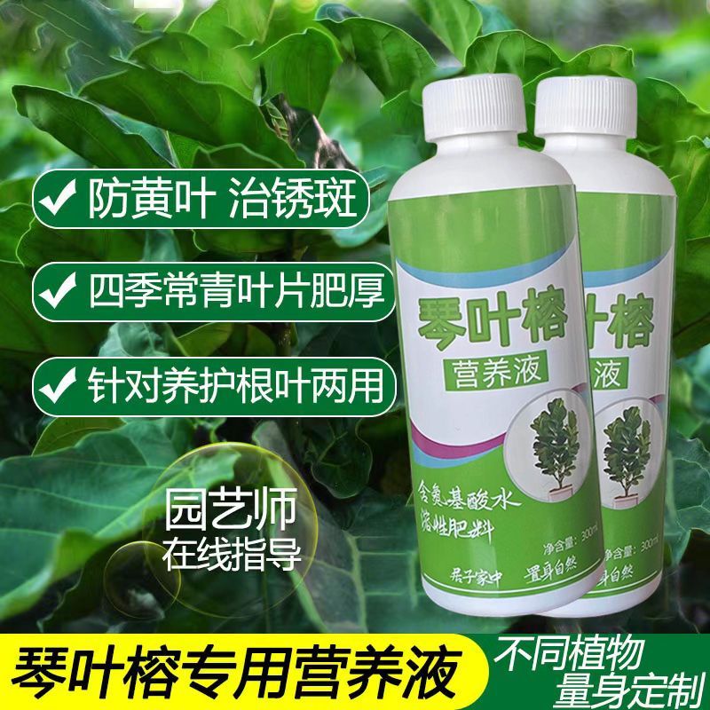 家用琴叶榕叶榕营养液专用大琴肥料专用肥黄叶室内盆栽植物液体