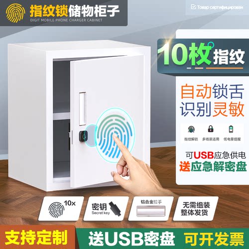 钢制指纹锁柜子环保无味坚固带锁