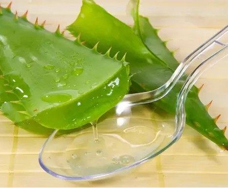 芦荟油100ml 真淳 天然植物护理基础油 化妆品原料修复基底精