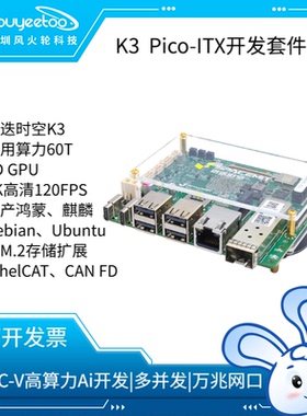 K3 Pico-ITX 60TOPS算力单板计算机进迭时空SpacemiTK3 8核处理器
