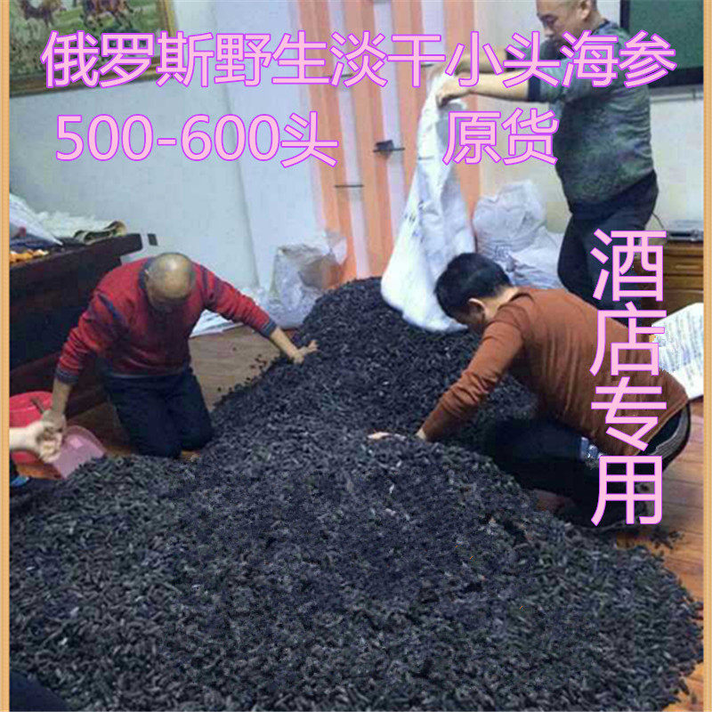 俄罗斯海参进口野生海参500-600头淡干海参红