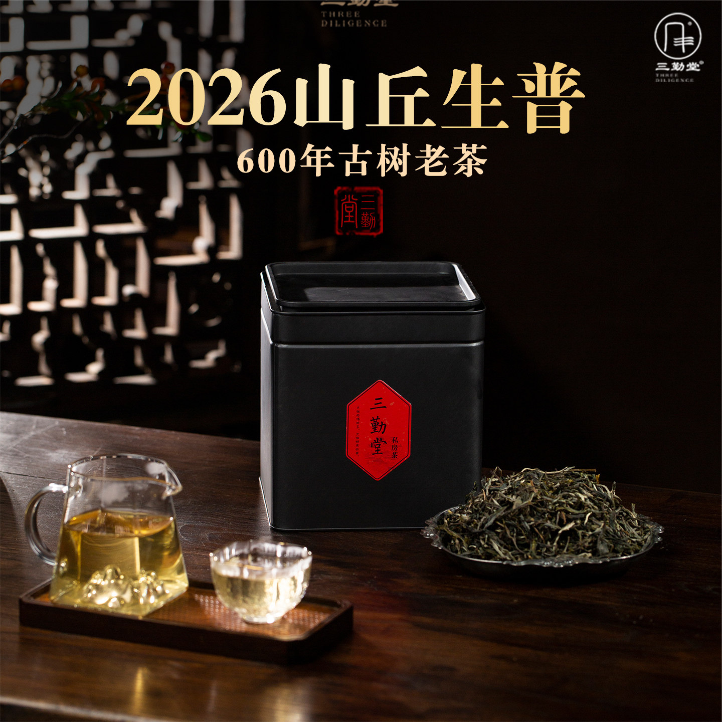 三勤堂山丘生茶散茶六百年古树