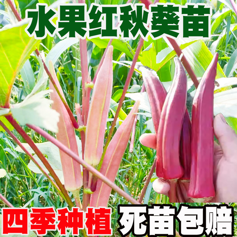 �߲����ļ��＾�������������ͺ��������4��  6.74Ԫ��2��(��3.37Ԫ/��)