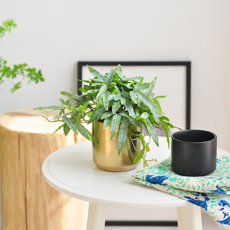 九思 仿真蕨叶绿植物金色盆栽家居商用轻奢装饰花艺桌摆件art345,家居饰品,仿真植物盆景,淘宝优惠券,粉丝福利购,淘宝优惠卷