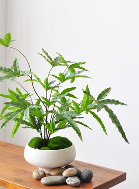 九思中式风格仿真植物装饰