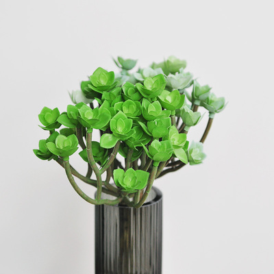 九思仿真多肉植物居家商用绿化
