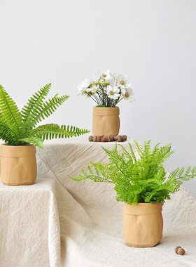 九思仿真植物盆景仿牛皮纸水泥花盆蕨叶植物北欧风仿生盆栽art237