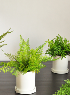 九思仿真植物盆栽白色陶瓷盆