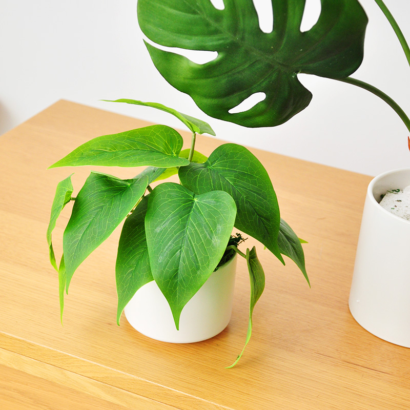 仿真植物 假绿植小陶瓷盆栽家居办公桌摆件装饰品蕨草叶子art276