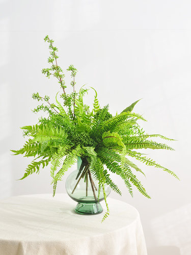 九思蕨类餐厅橱窗商用仿生绿植