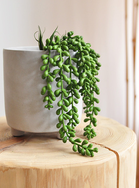 仿真多肉绿色植物 情人泪 佛珠吊兰壁挂摆件家居盆栽 F637