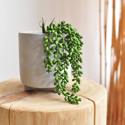 仿真多肉绿色植物佛珠吊兰盆栽
