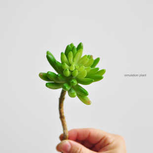 仿真多肉植物单品 佛手莲绿植家居饰品F632